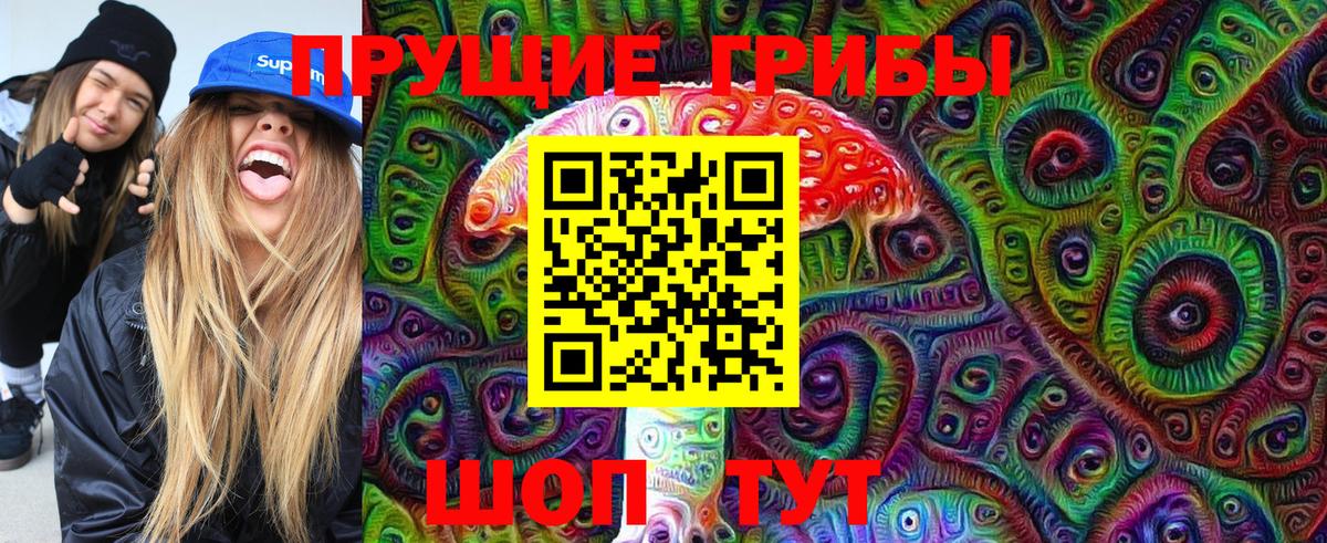 Владивосток  Псилоцибиновые грибы Cubensis  Вход с VPN 